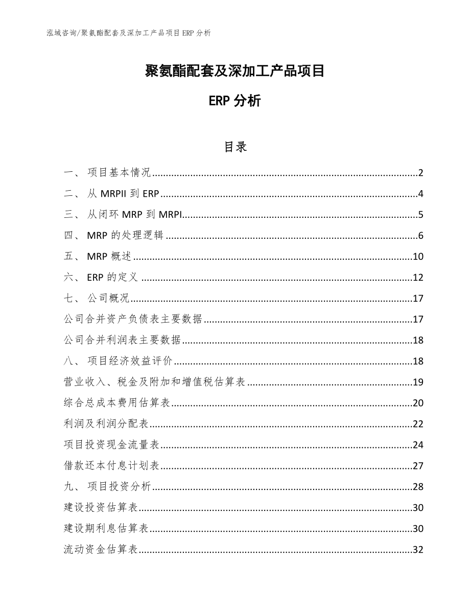 聚氨酯配套及深加工产品项目ERP分析【范文】_第1页