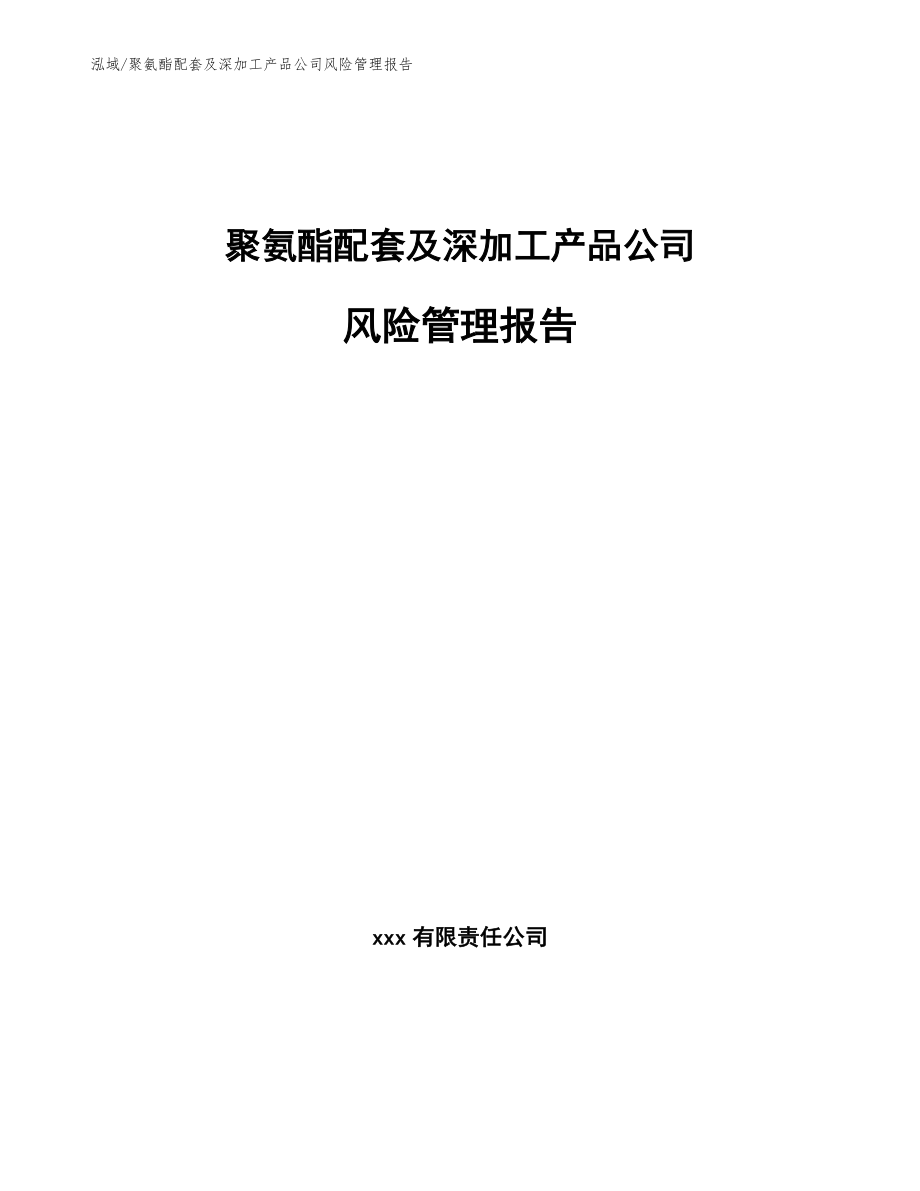 聚氨酯配套及深加工产品公司风险管理报告_第1页