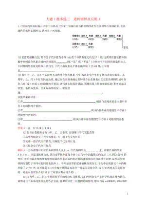 2019高考生物二輪優(yōu)訓練習 大題1題多練三 遺傳規(guī)律及應用A