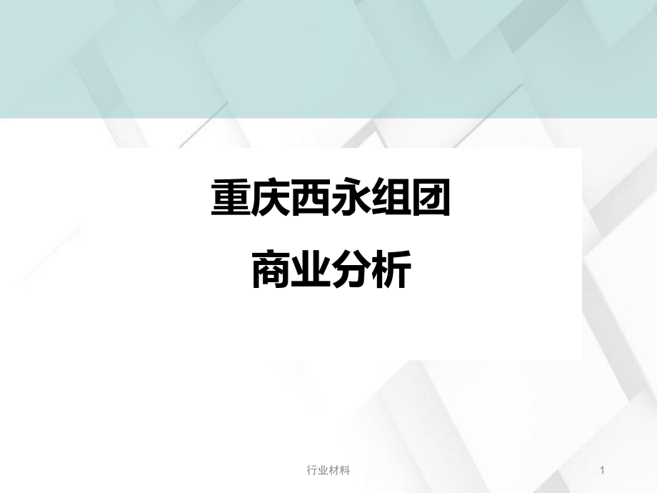 重庆西永组团商业分析（行业特选）_第1页