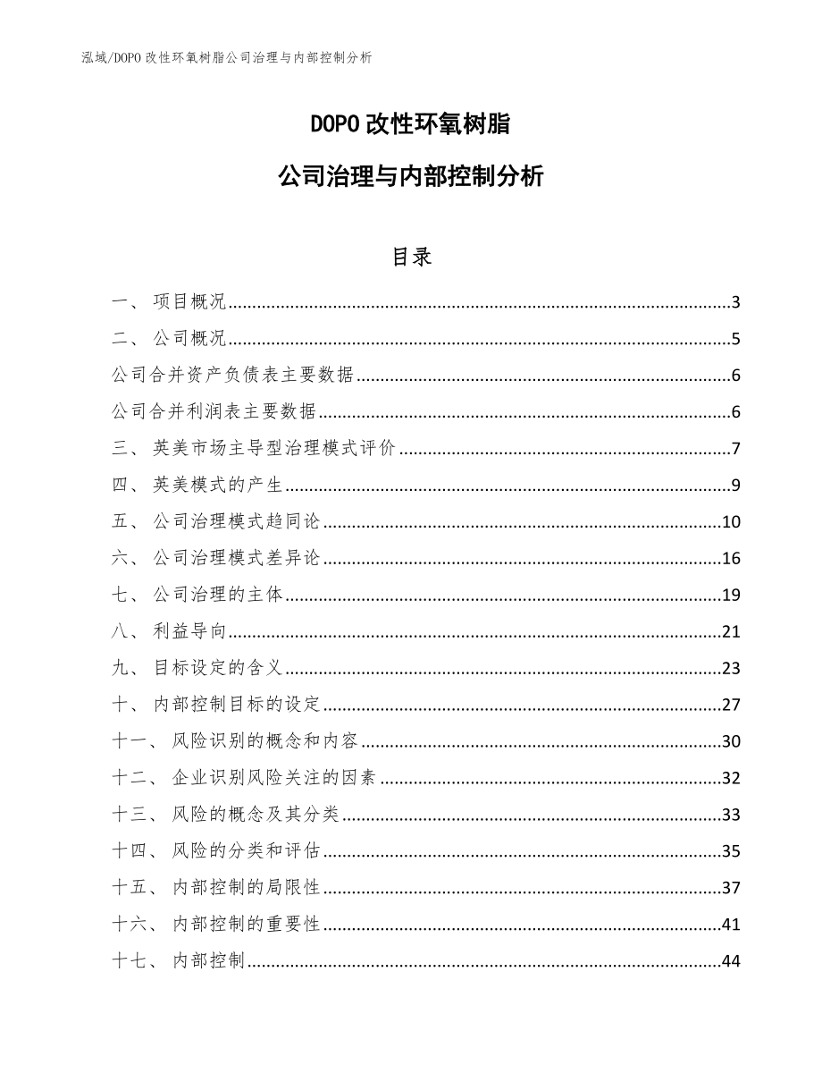 DOPO改性环氧树脂公司治理与内部控制分析_第1页