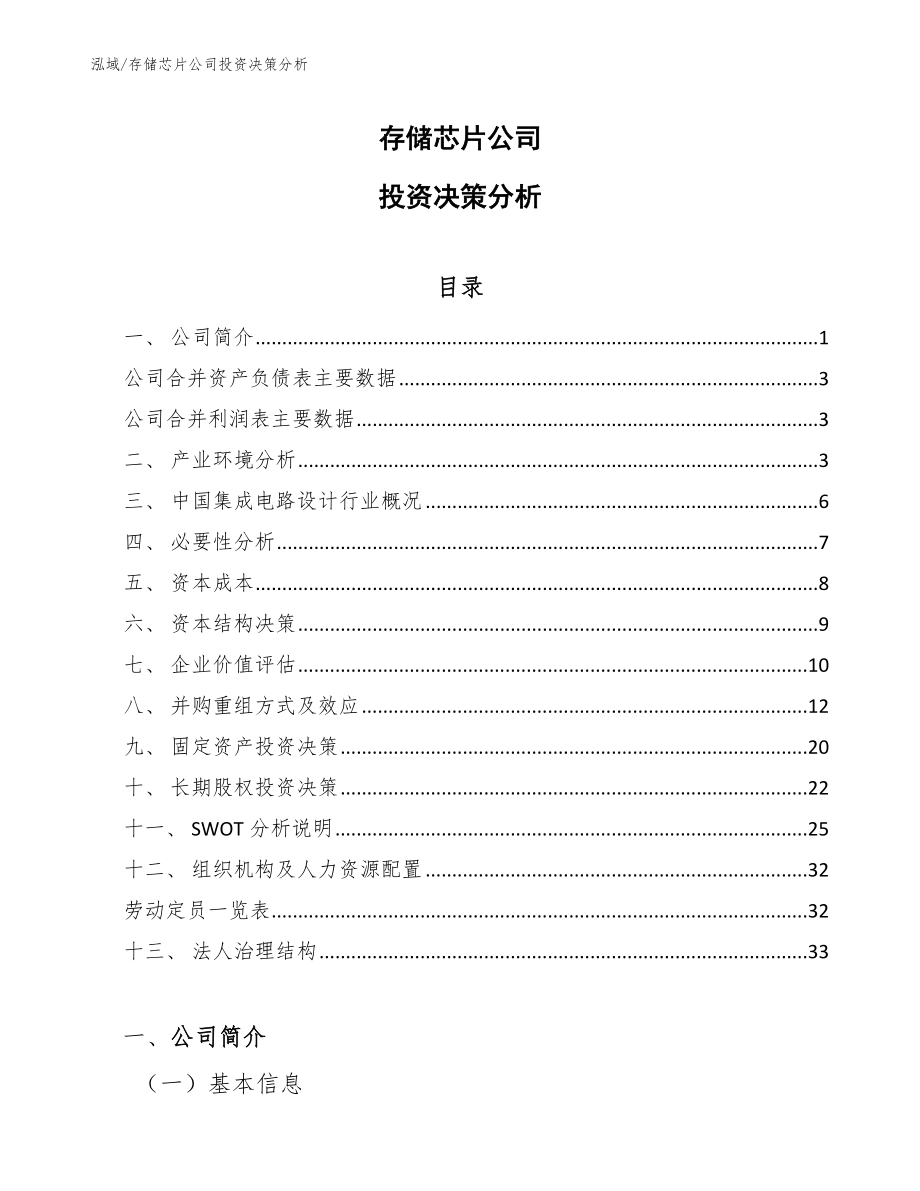 存储芯片公司投资决策分析_范文_第1页