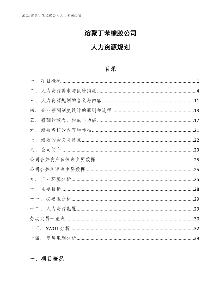 溶聚丁苯橡胶公司人力资源规划_第1页