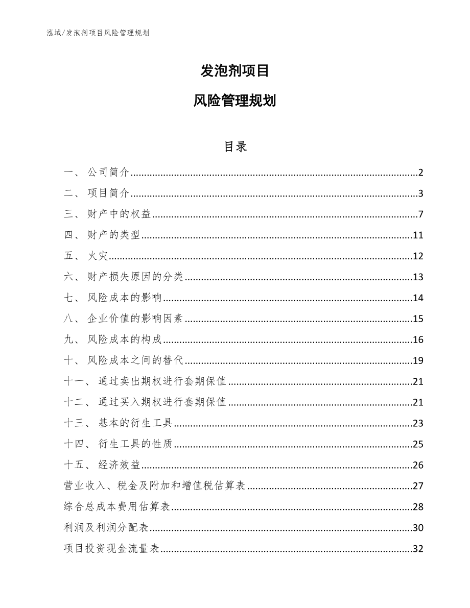 发泡剂项目风险管理规划_第1页