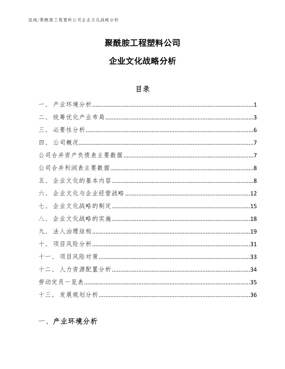 聚酰胺工程塑料公司企业文化战略分析_范文_第1页