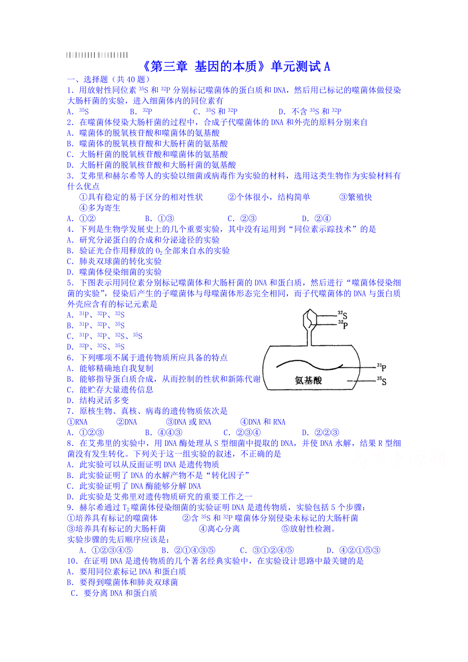 人教版生物必修二《第3章：基因的本質(zhì)》單元測試(卷-含答案)(共5頁)_第1頁