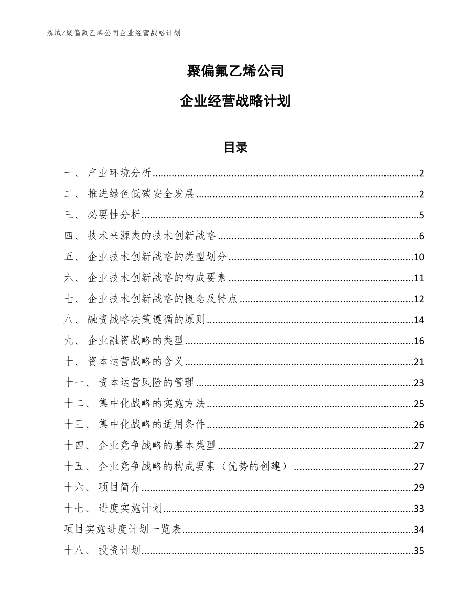 聚偏氟乙烯公司企业经营战略计划（参考）_第1页