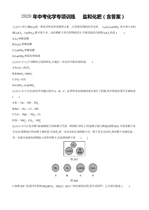 2020年中考化學專項訓練 鹽和化肥