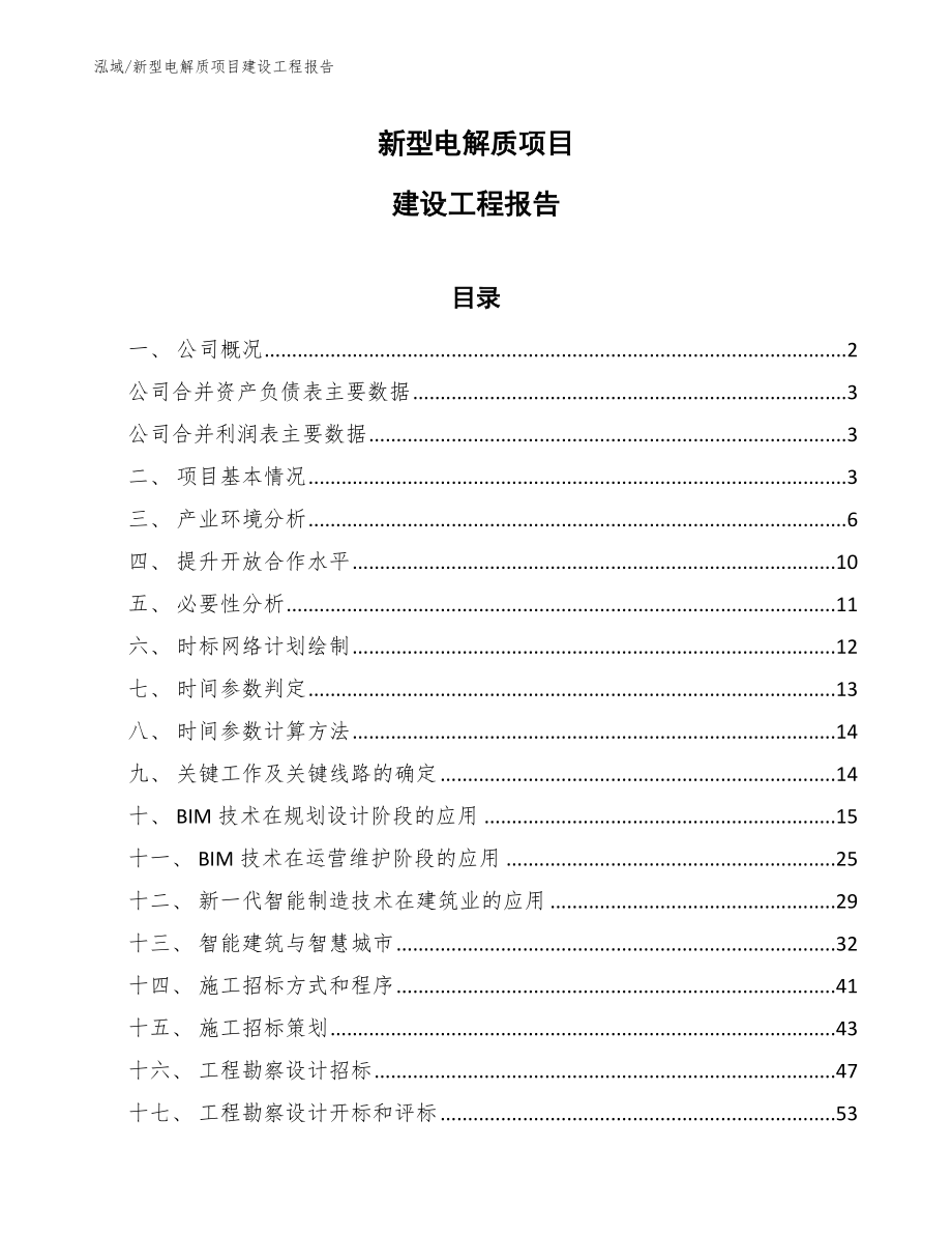 新型电解质项目建设工程报告（参考）_第1页