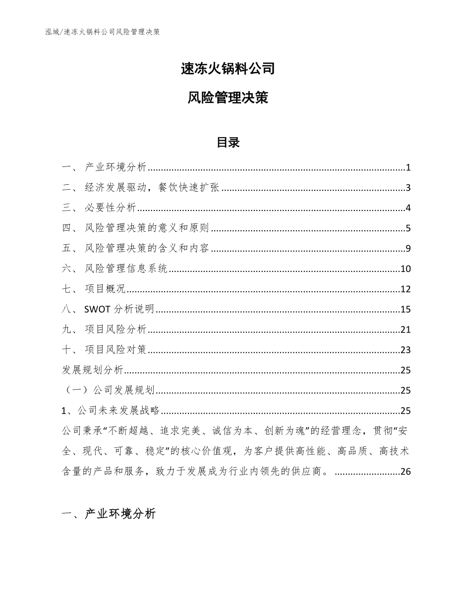 速冻火锅料公司风险管理决策方案（参考）_第1页