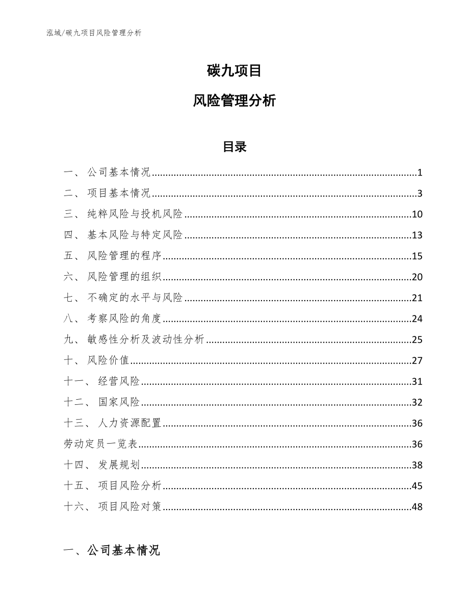 碳九项目风险管理分析_参考_第1页