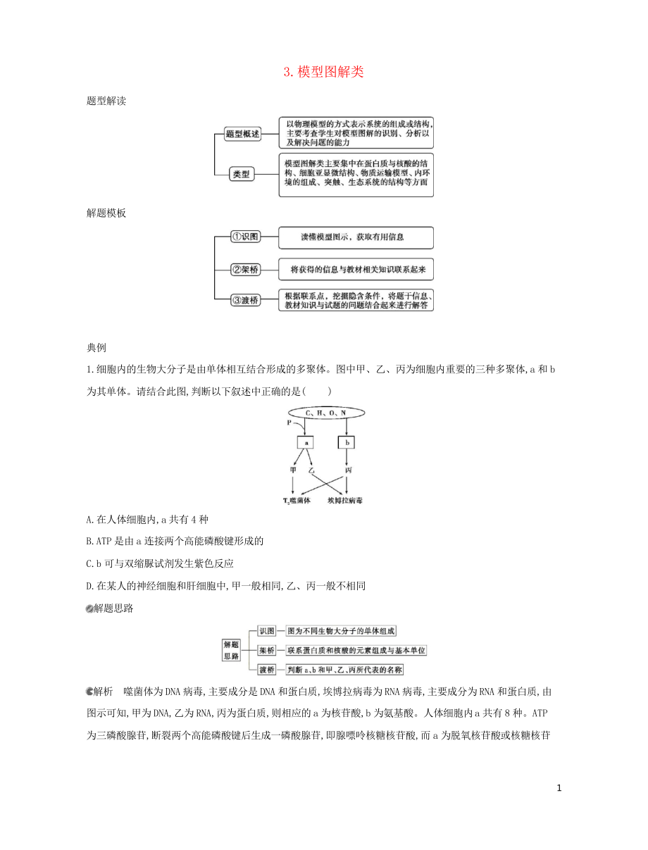 (北京專(zhuān)用)2019版高考生物一輪復(fù)習(xí) 第一篇 解題模板篇 3 模型圖解類(lèi)習(xí)題_第1頁(yè)