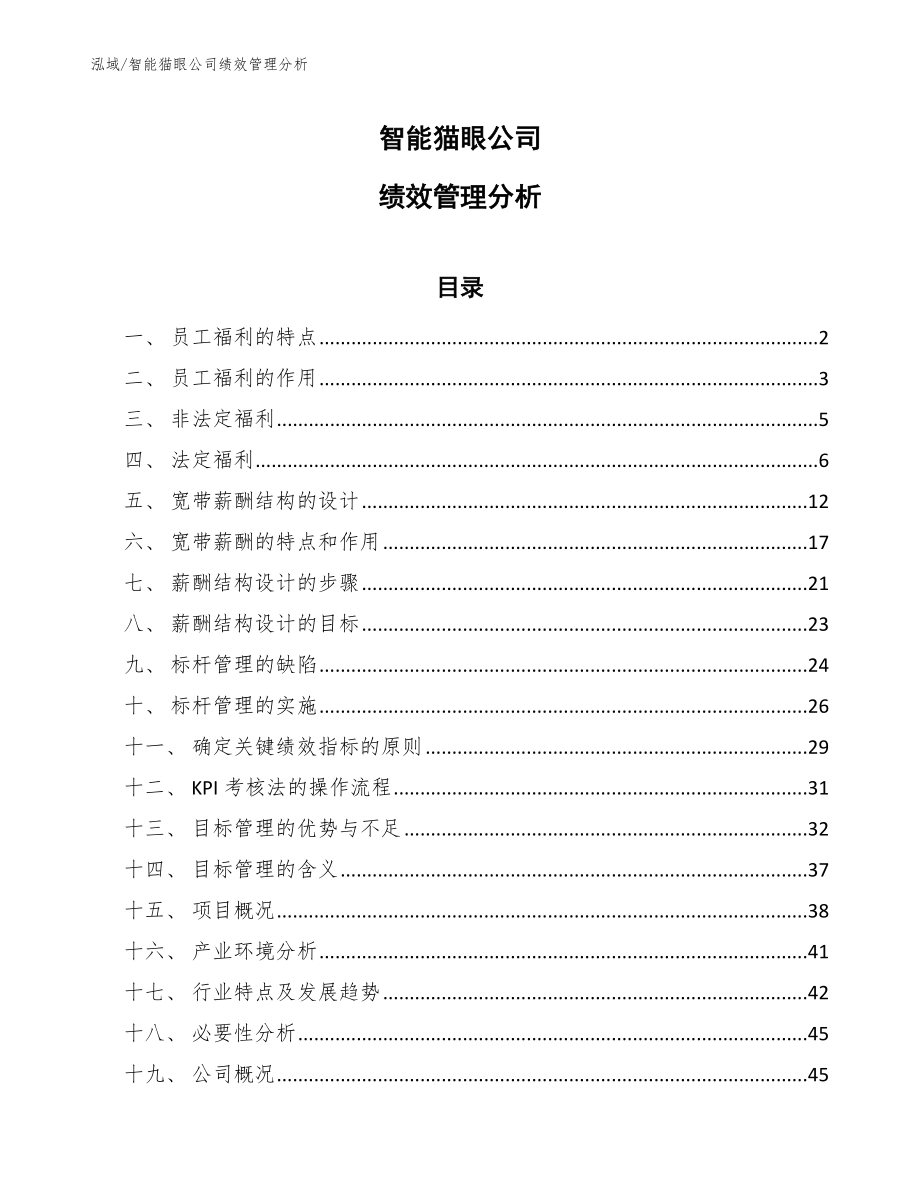 智能猫眼公司绩效管理分析_范文_第1页