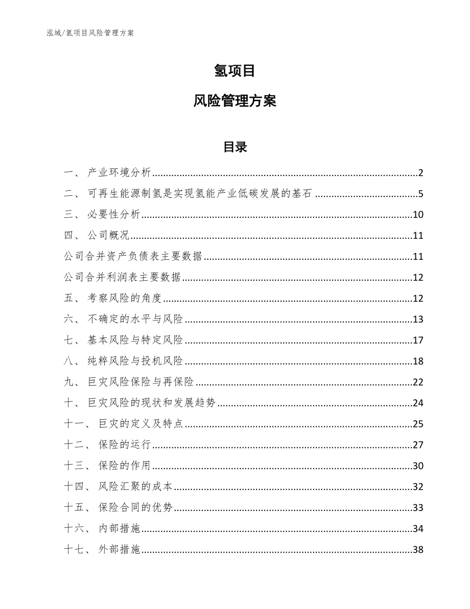 氢项目风险管理方案_第1页