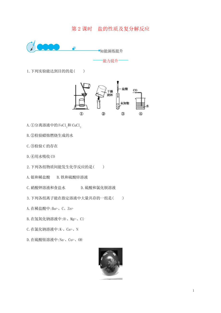 2019九年級(jí)化學(xué)下冊 第十一單元 鹽 化肥 11.第2課時(shí) 鹽的性質(zhì)及復(fù)分解反應(yīng)練習(xí)習(xí)題_第1頁