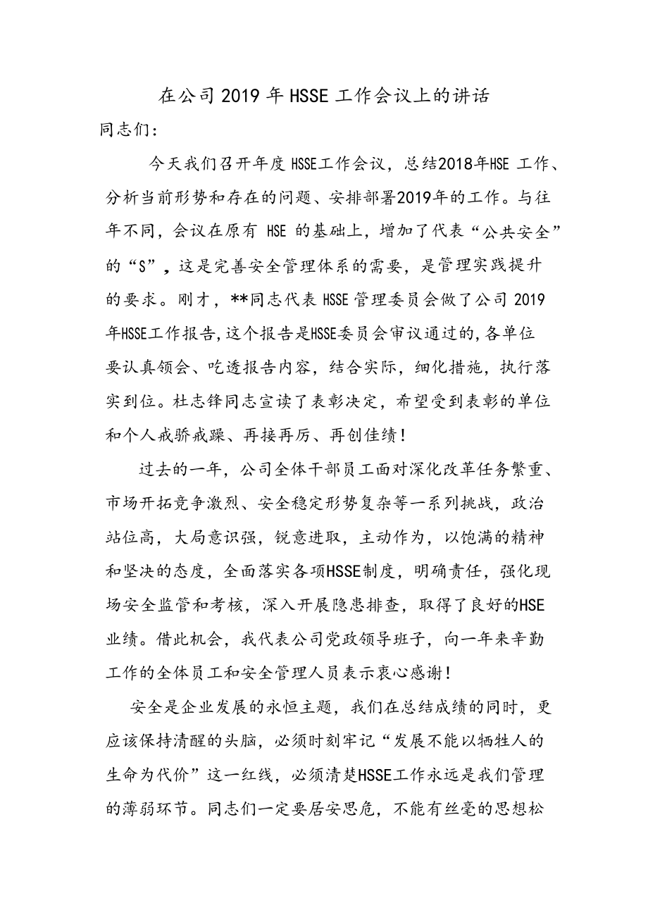 公司经理在年度HSE工作会上的讲话_第1页