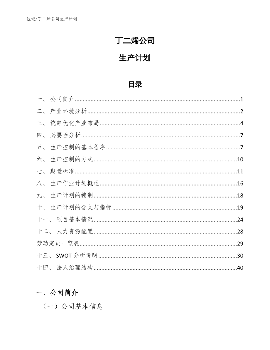 丁二烯公司生产计划（参考）_第1页