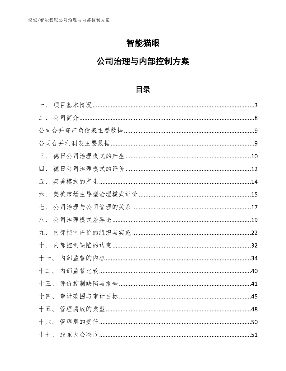 智能猫眼公司治理与内部控制方案_参考_第1页