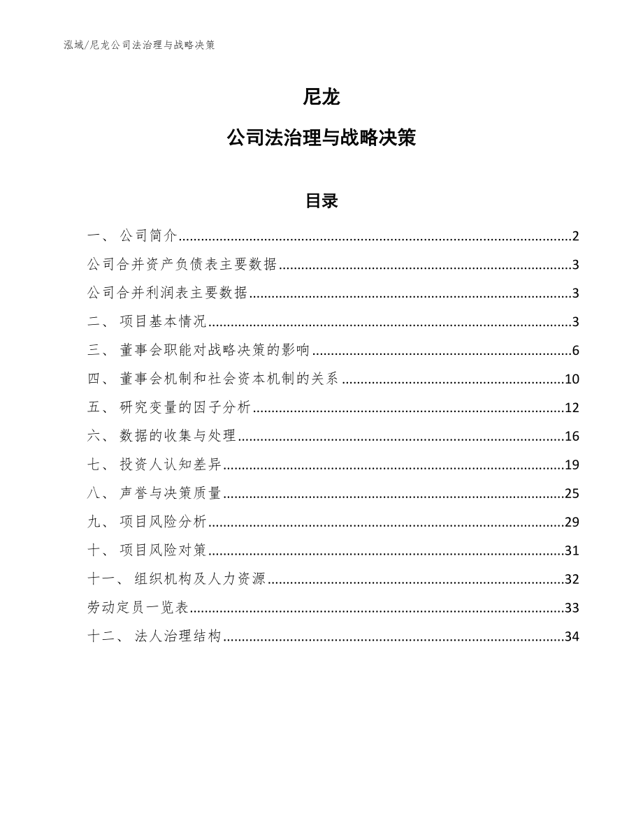 尼龙公司法治理与战略决策_范文_第1页