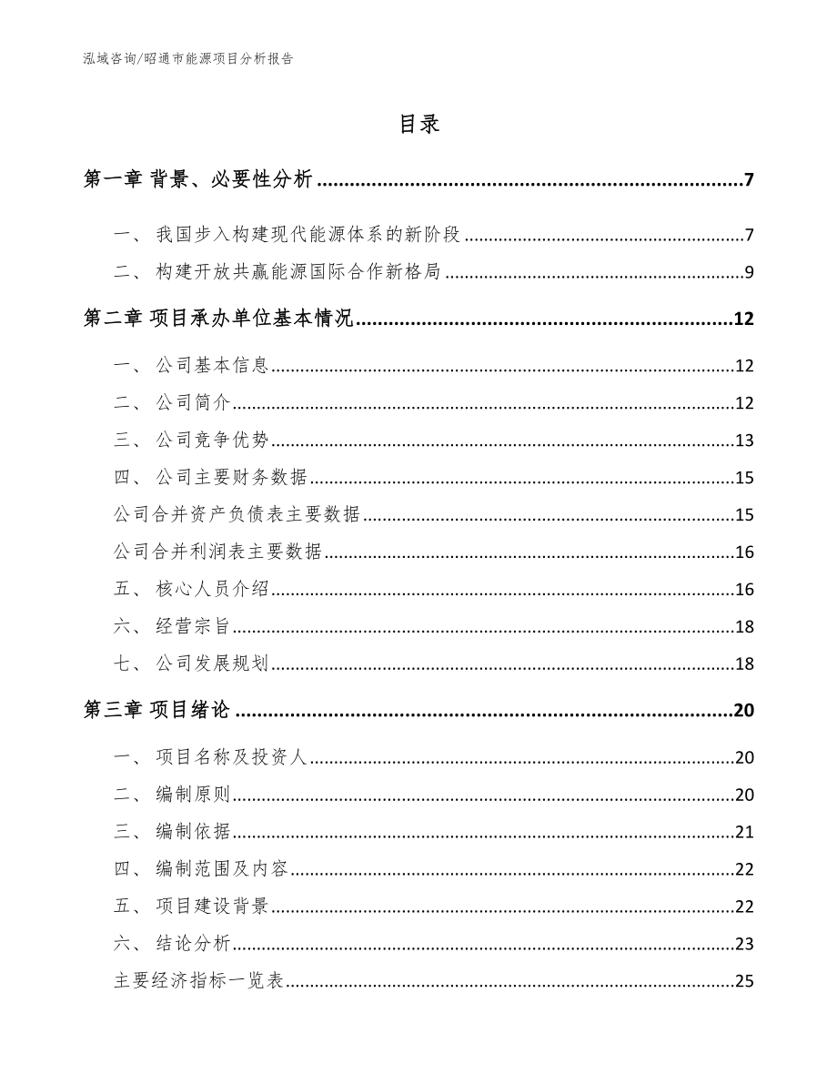 昭通市能源项目分析报告【模板参考】_第1页