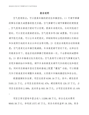 惠州空气弹簧项目可行性研究报告_范文模板