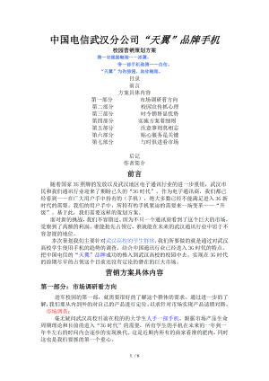 中国电信武汉分公司校园营销策划方案
