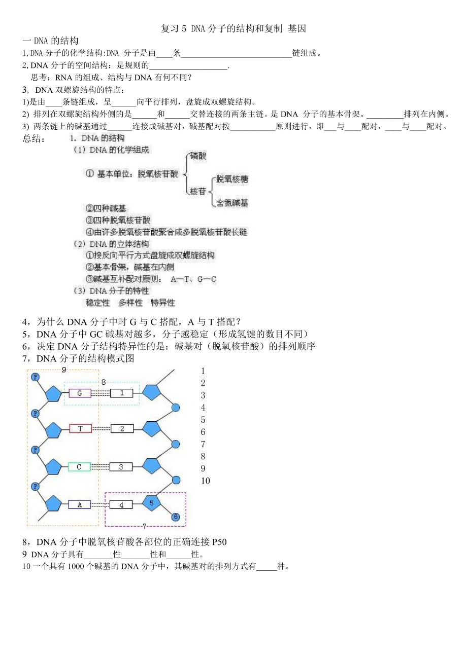 復(fù)習(xí)5 DNA分子的結(jié)構(gòu)和復(fù)制教案_第1頁