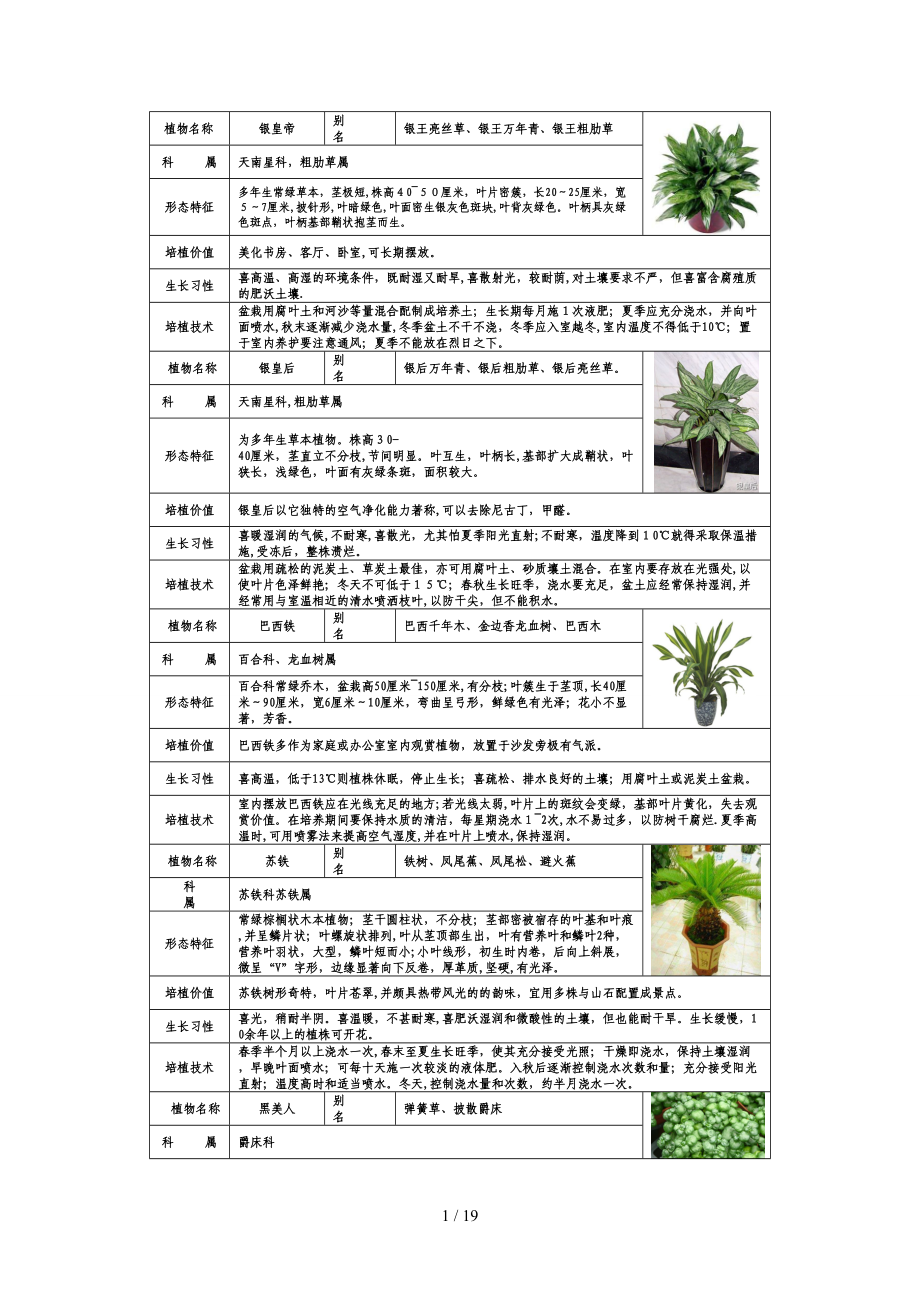 常见家居植物介绍带图片_第1页