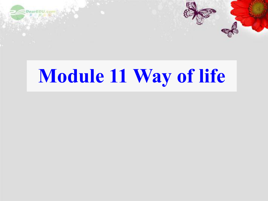 八年級英語上冊 Module 11 Way of life Unit 1 In China ,we open a gift later課件_第1頁