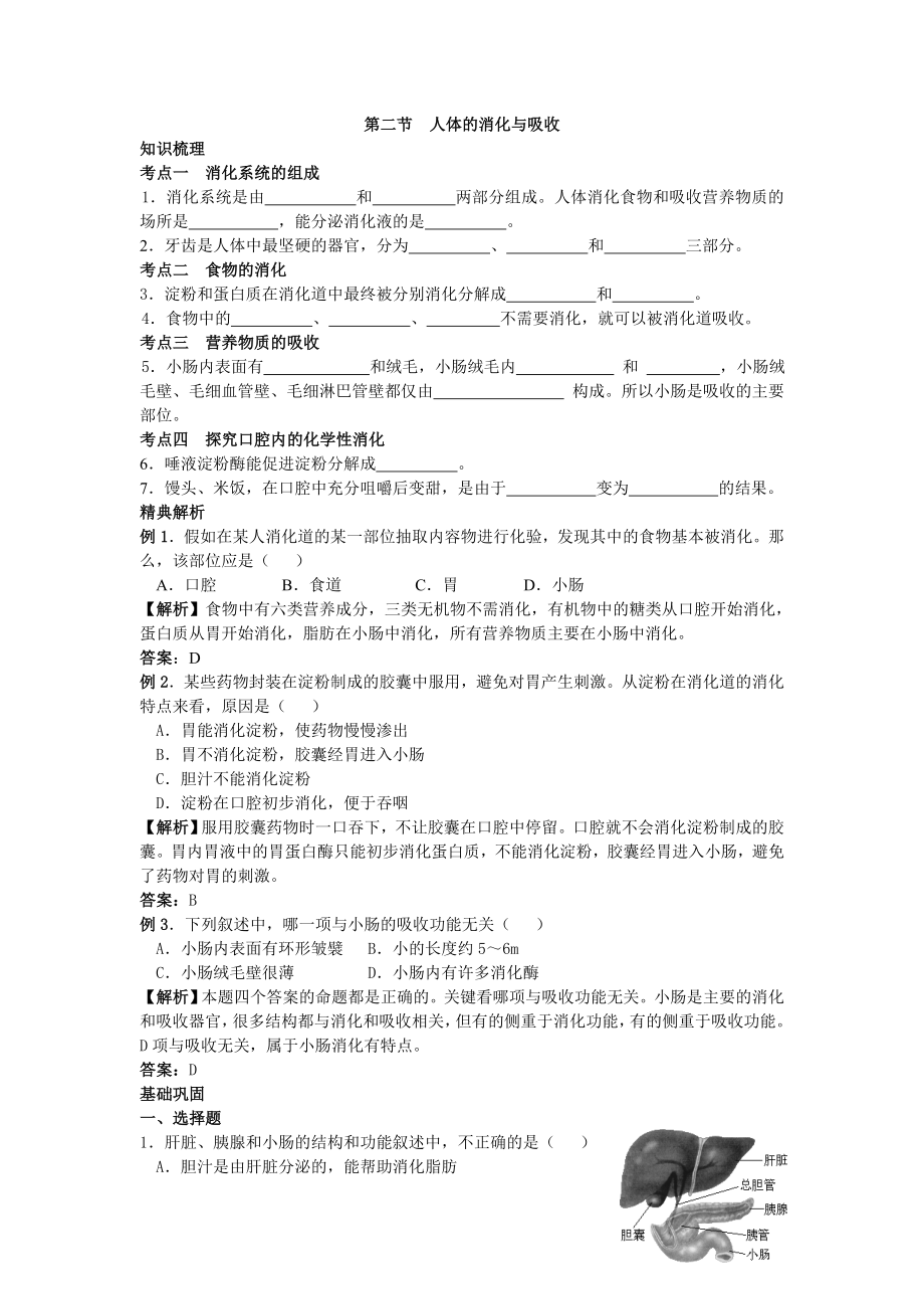 第二節(jié)人體的消化與吸收_第1頁