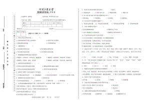 管理信息系统试卷B