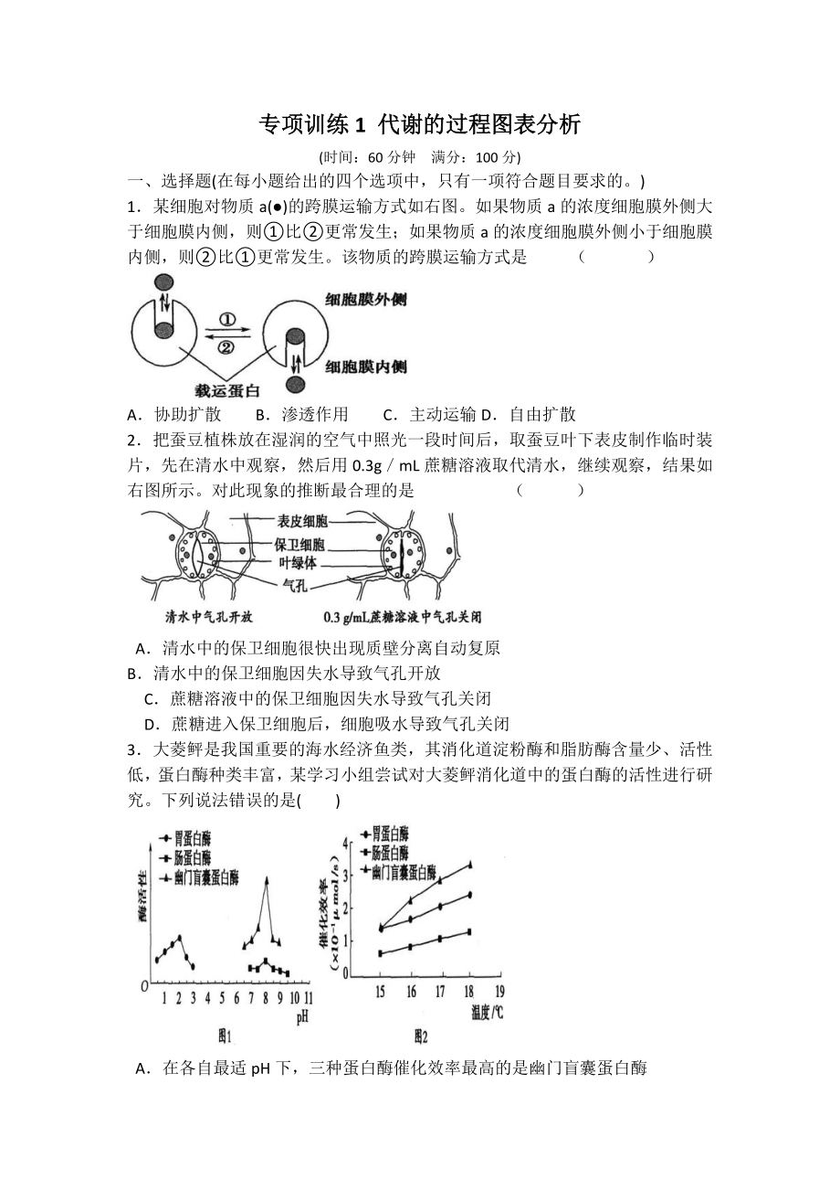 專項訓練1 代謝的過程圖表分析_第1頁