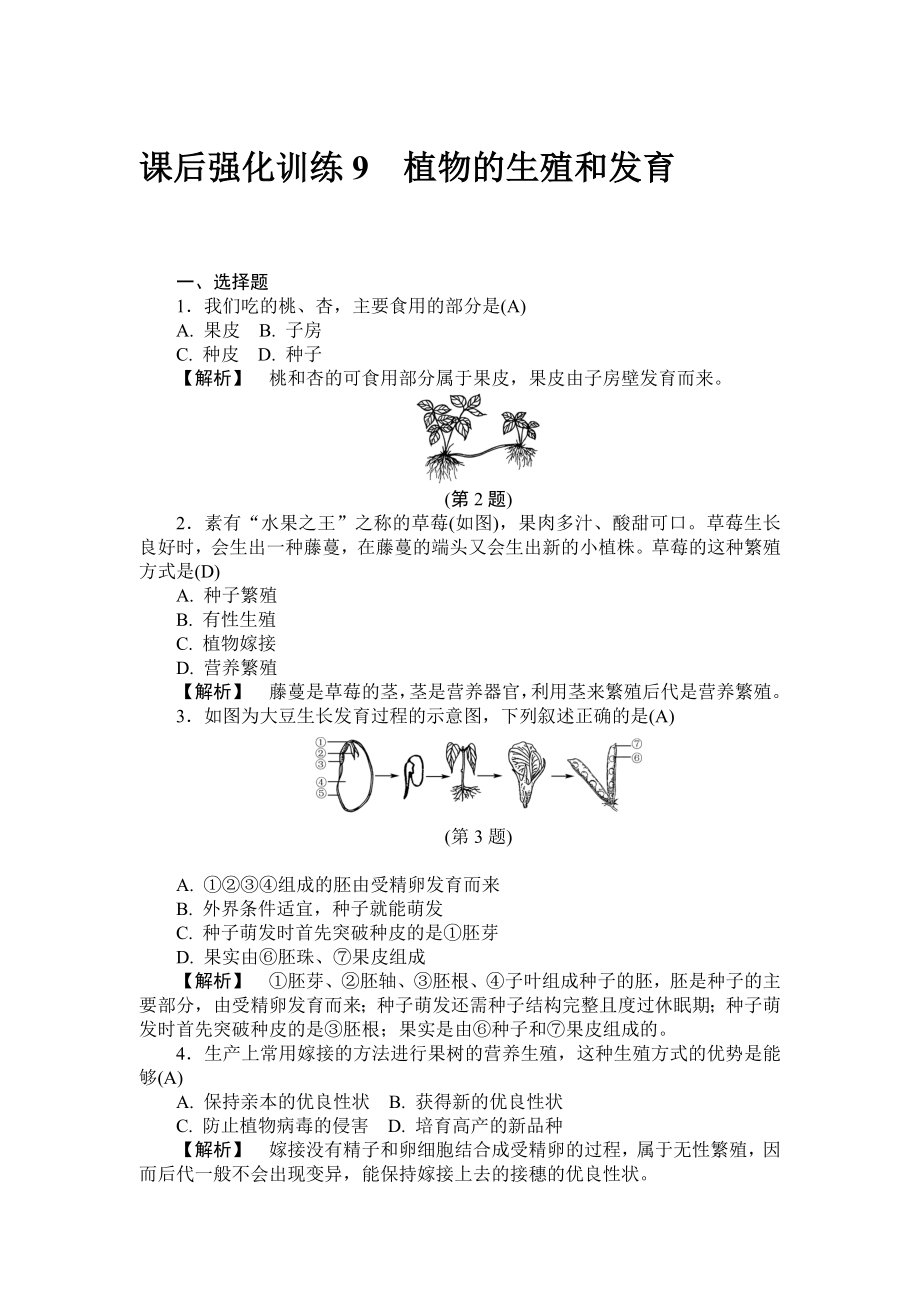 课后强化训练9 植物的生殖和发育_第1页