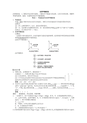 化學(xué)一輪復(fù)習(xí) 化學(xué)平衡狀態(tài)