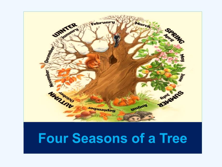 英语小演讲Fourseasonsofatree_第1页