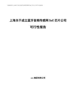 上海关于成立蓝牙音频传感网SoC芯片公司可行性报告