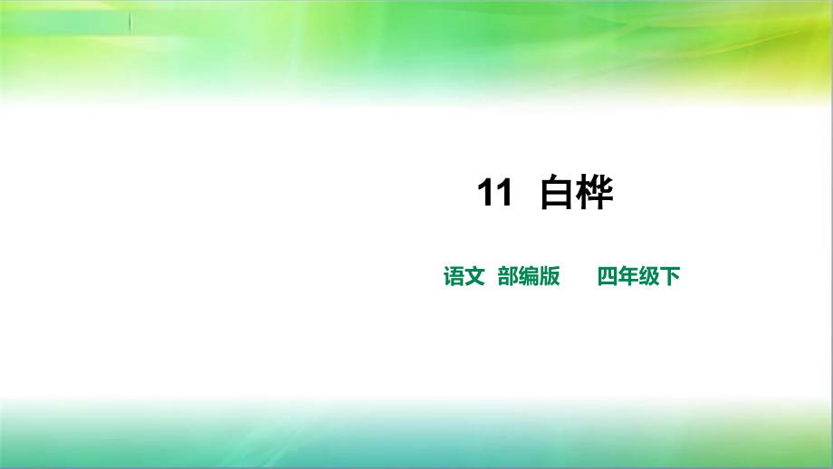 统编人教部编版小学语文四年级下册语文11白桦.第二课时课件_第1页