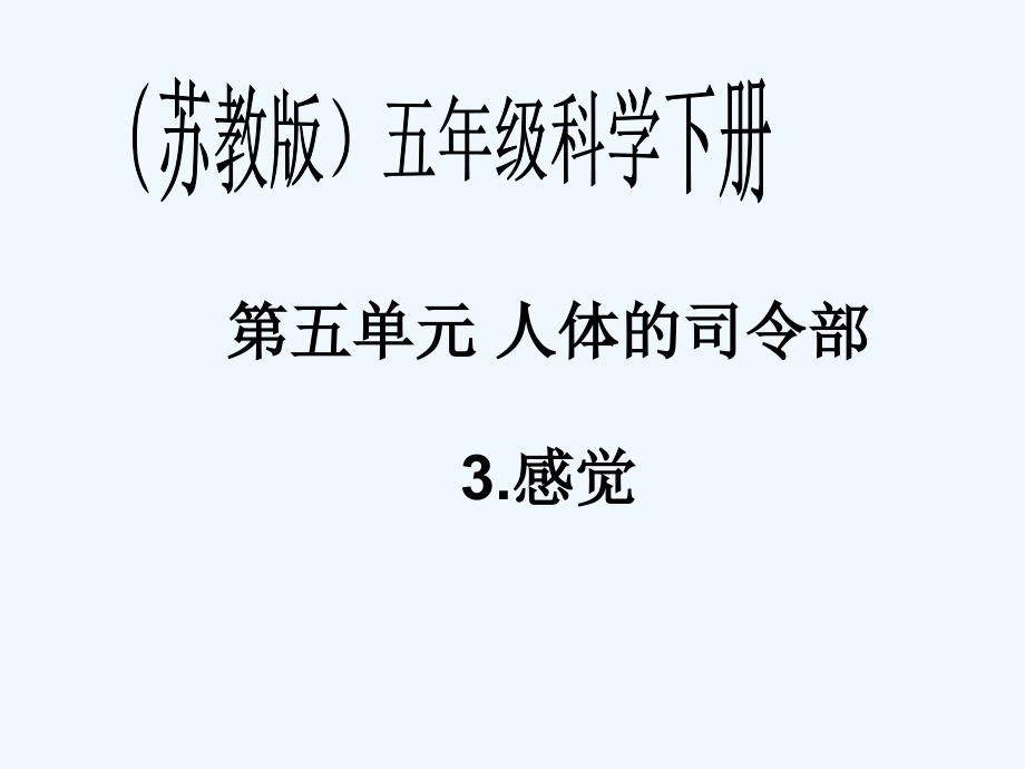 苏教版小学科学五年级下册感觉课件1_第1页