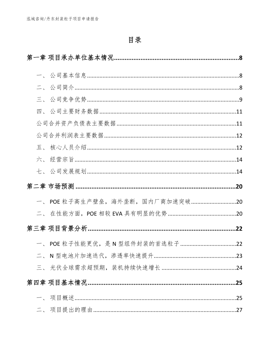 丹东封装粒子项目申请报告范文_第1页