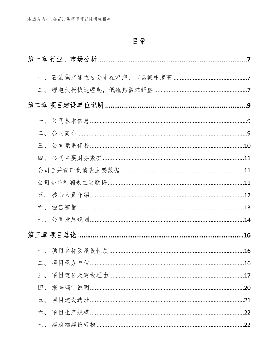 上海石油焦项目可行性研究报告（参考模板）_第1页