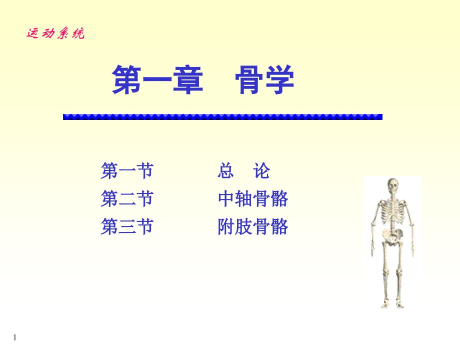 人体解剖实验精选文档_第1页