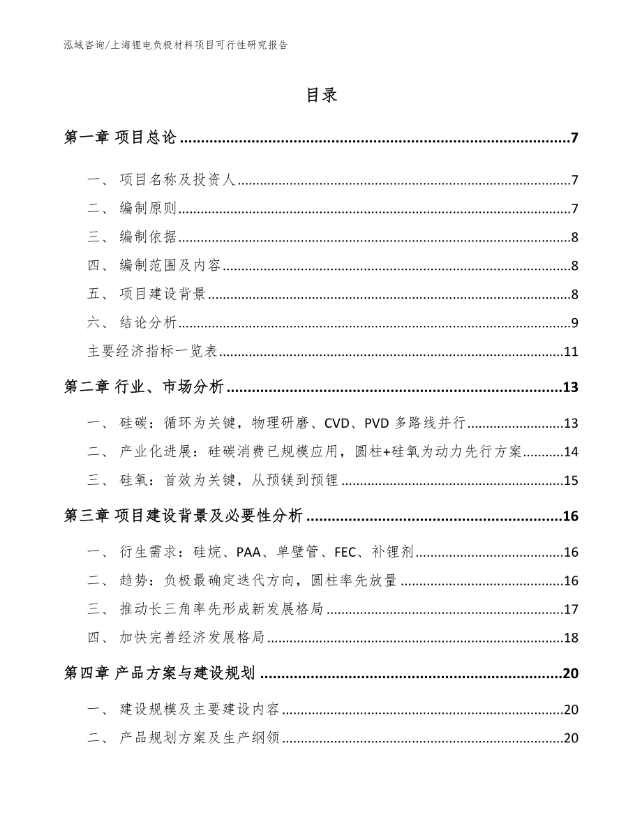 上海锂电负极材料项目可行性研究报告（参考模板）_第1页