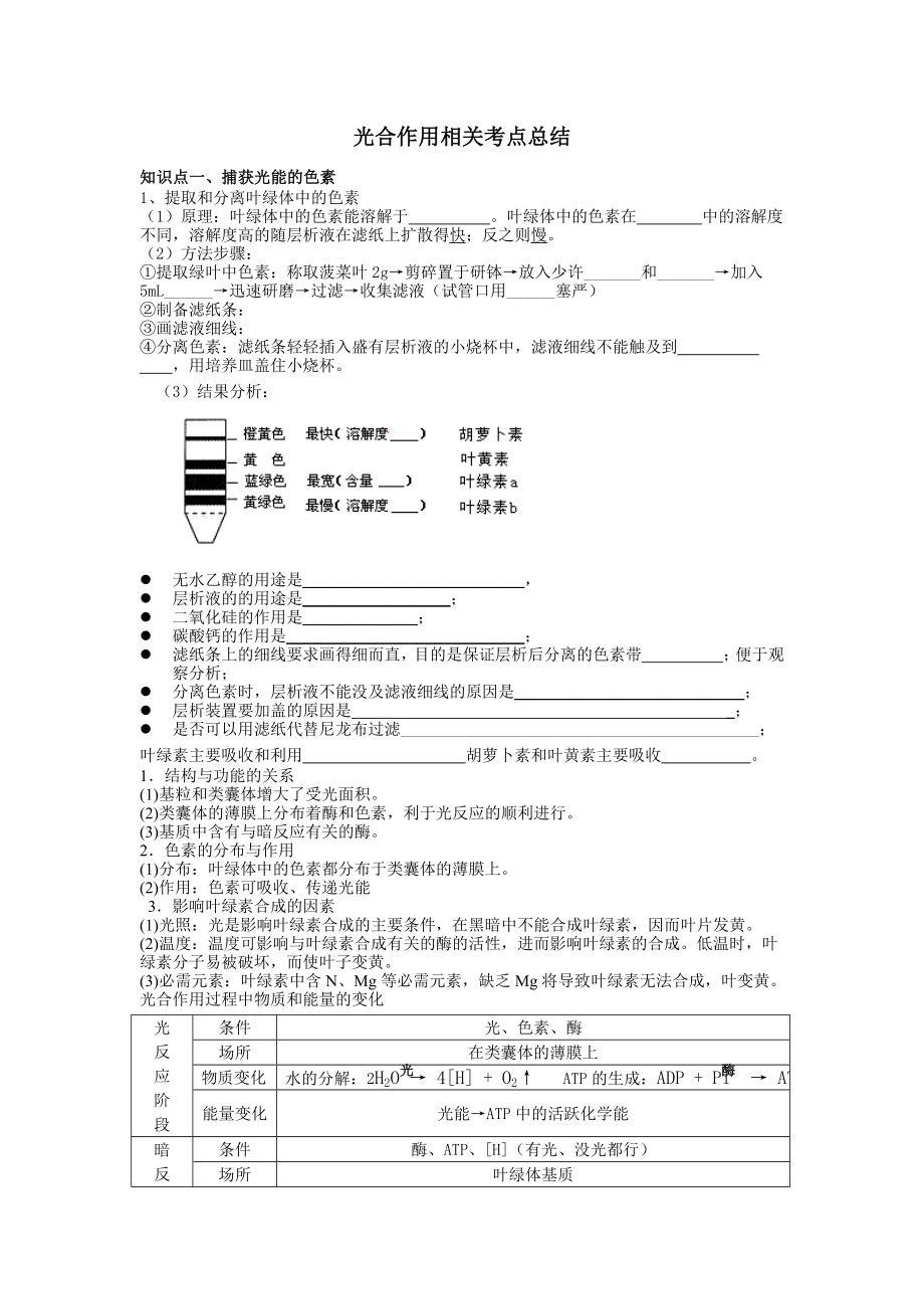 光合作用知识点归纳总结_第1页