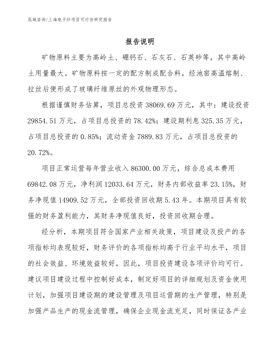上海电子纱项目可行性研究报告（模板参考）_第1页