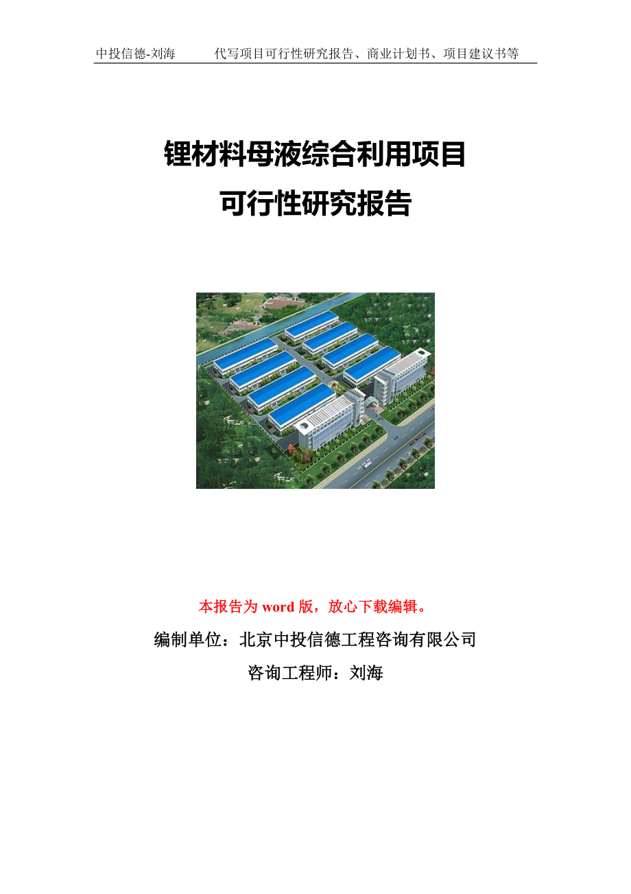 锂材料母液综合利用项目可行性研究报告写作模板立项备案文件_第1页