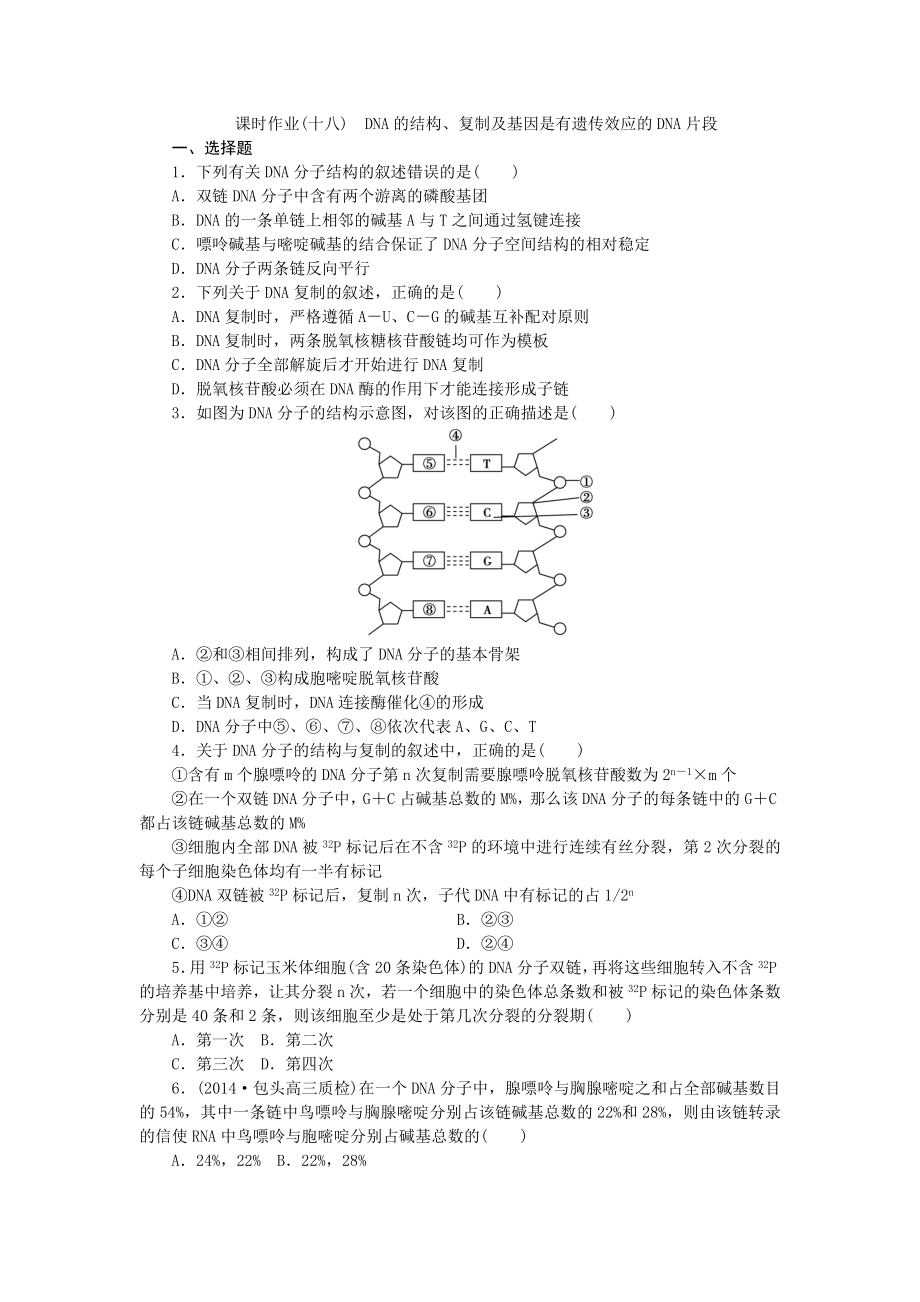 課時(shí)作業(yè)(十八) DNA的結(jié)構(gòu)、復(fù)制及基因是有遺傳效應(yīng)的DNA片段_第1頁(yè)