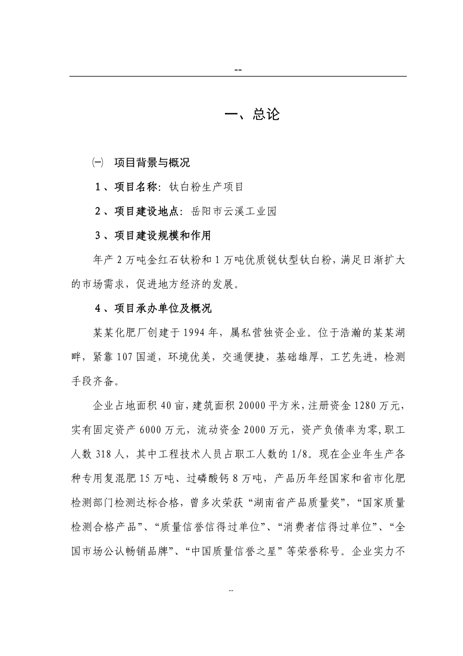 某某公司钛白粉生产项目可行性研究报告页优秀甲级资质可研报告_第1页