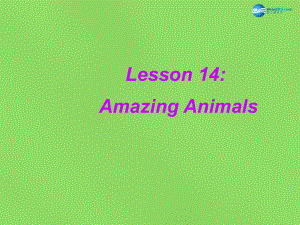 冀教初中英語八下《Lesson 14 Amazing Animals》PPT課件 (1)