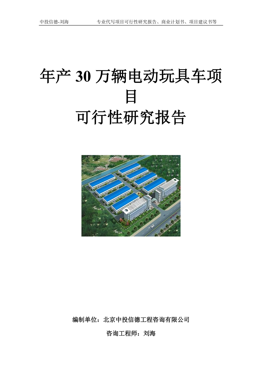 年产30万辆电动玩具车项目可行性研究报告模板_第1页