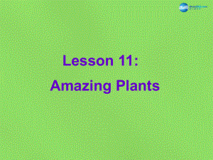 冀教初中英語八下《Lesson 11 Amazing Plants》PPT課件 (1)